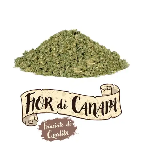 Fior di canapa - er canaparo - CBD