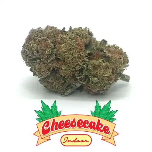 Cheesecake er canaparo cannabis light