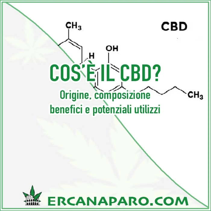 Cos'è il CBD - recettori cannabinoidi