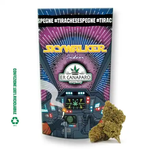 Skywalker indoor er canaparo