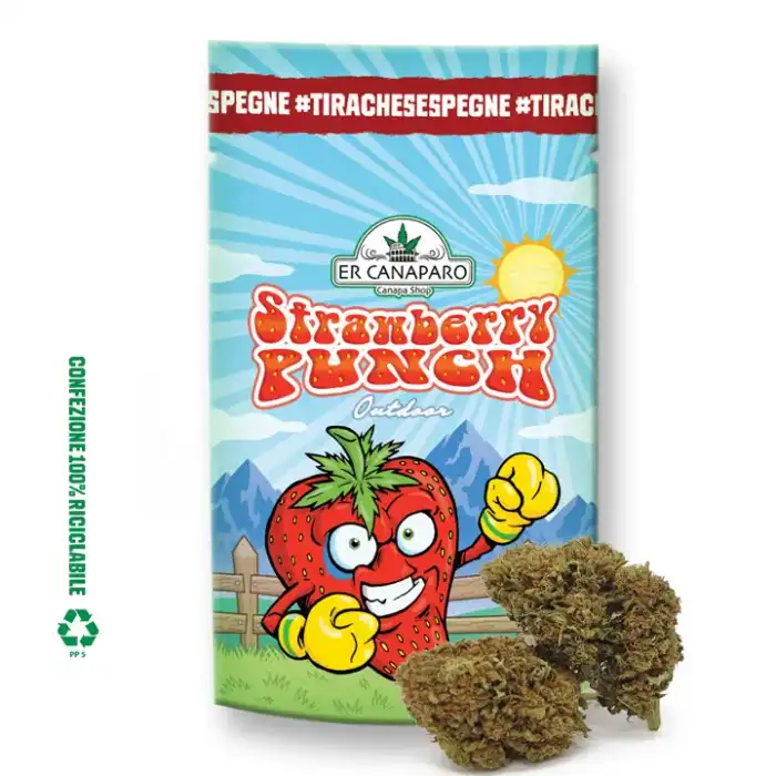 Strawberry punch cannabis outdoor er canaparo