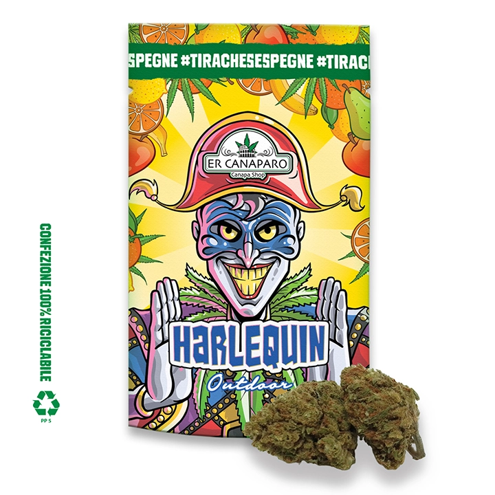 Harlequin, cannabis light outdoor