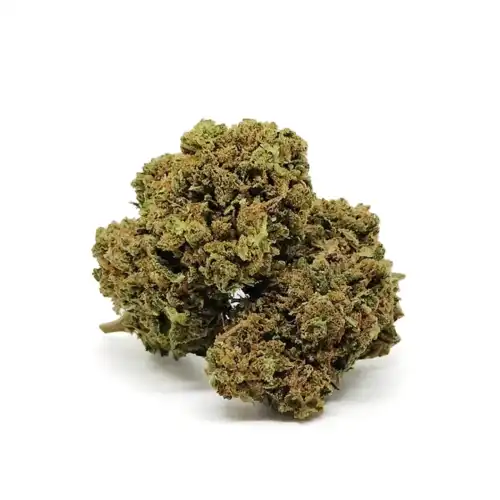 Remedy - Linea Easy CBD - canapa light