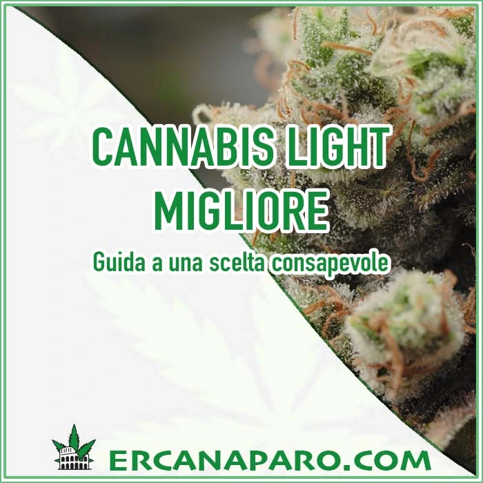 Cannabis light migliore, cannabis legale, cannabis light online