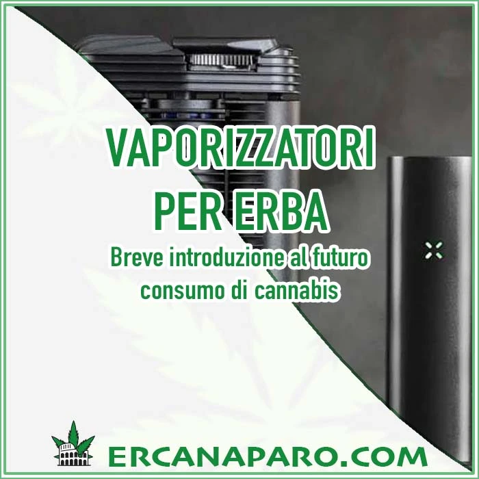 Vaporizzatore erba