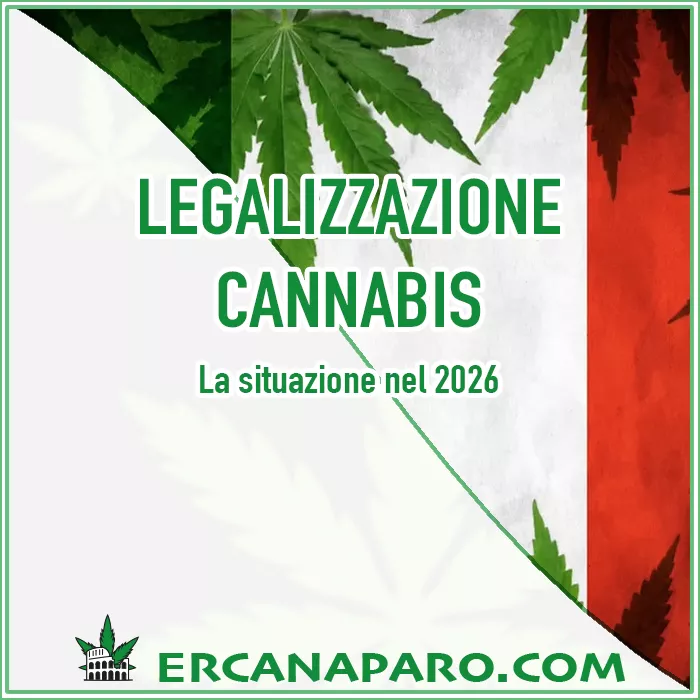 legalizzazione 2026