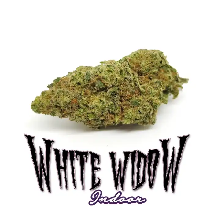 Cannabis light - er canaparo CBD