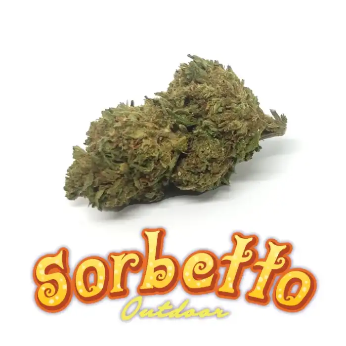 Sorbetto outdoor - er canaparo - cannabis light