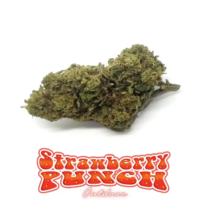 Strawberry punch - er canaparo - cannabis light