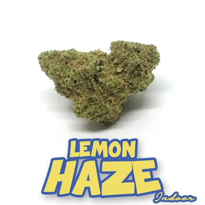Lemon haze er canaparo - cannabis light