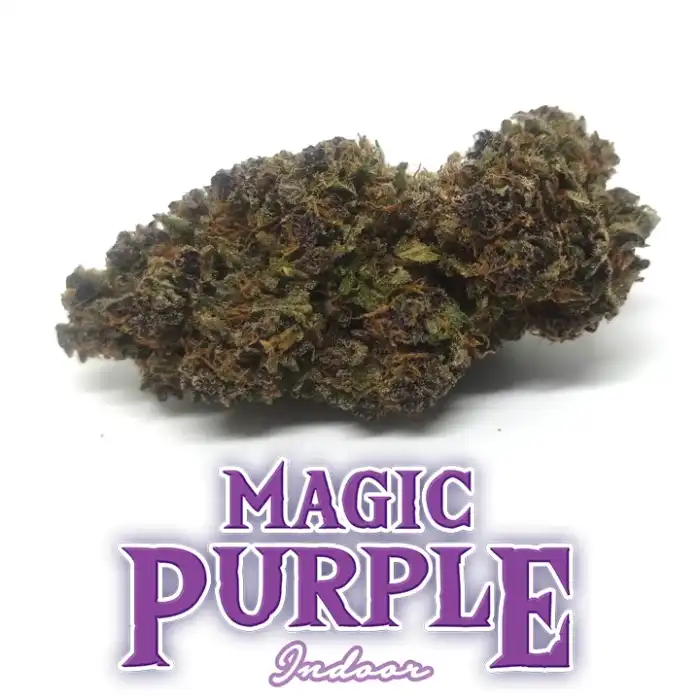 Erba legale - er canaparo - Purple Haze