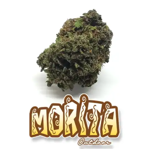 Cannabis Light outdoor - Erba legale