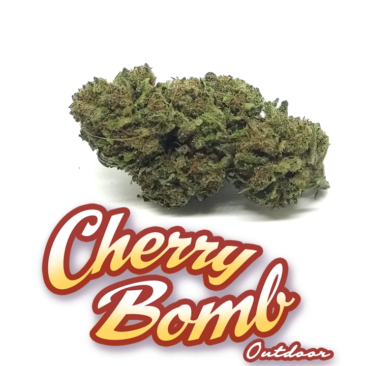 Cherry Bomb Er Canaparo CBD