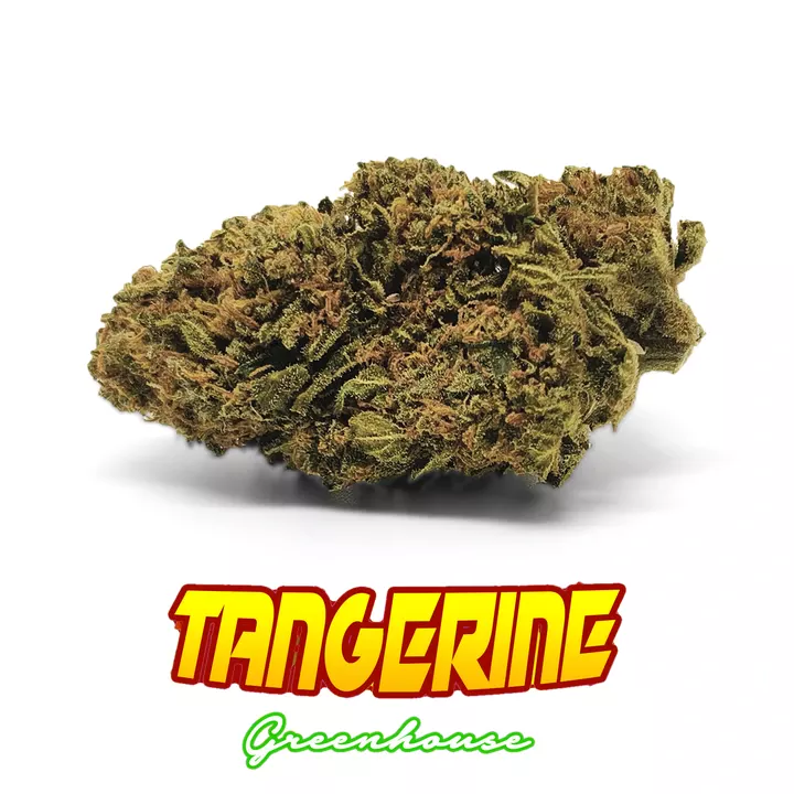 tangerine_720 Tangerine Cannabis ligth - er canaparo